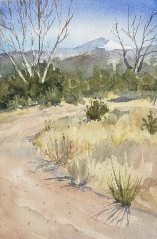 The Day After it Snowed